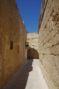 IMGP2115.JPG