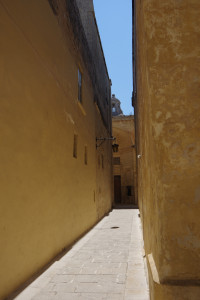 IMGP2118.JPG