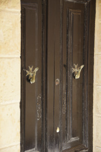 IMGP2119.JPG