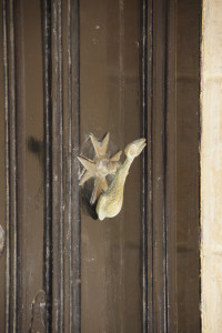 IMGP2120.JPG