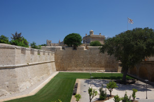 IMGP2121.JPG