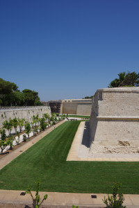 IMGP2122.JPG