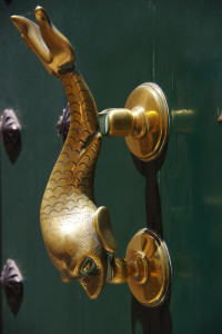 IMGP2126.JPG