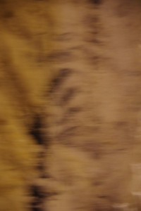 IMGP2133.JPG