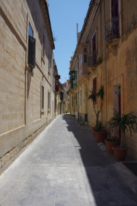 IMGP2139.JPG