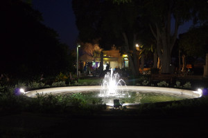 IMGP2142.JPG