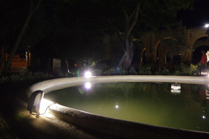 IMGP2148.JPG