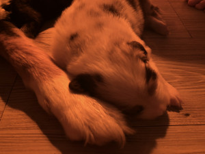 IMG_2601.JPG