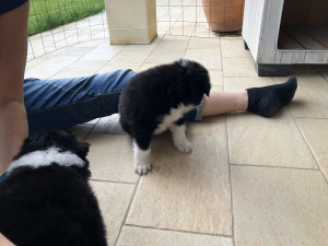 IMG_3016.JPG