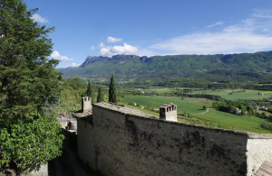 IMGP0084.jpg