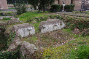 IMGP1862.JPG