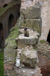 IMGP1901_exposure.JPG