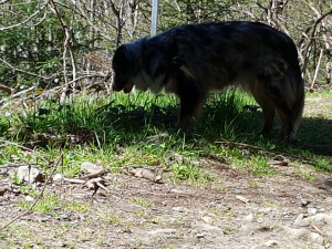 20170409_131456.jpg