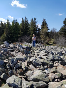 20170409_150807.jpg