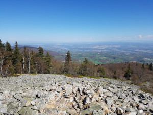20170409_150906.jpg