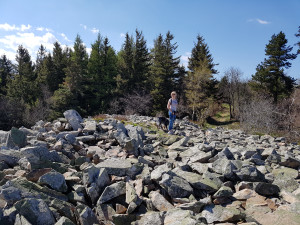 20170409_150909.jpg