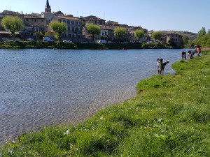 20170409_170027.jpg