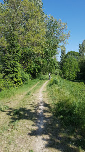 20170424_163350.jpg
