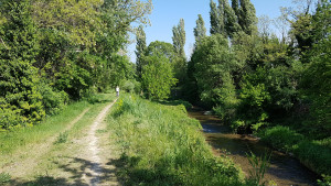 20170424_163353.jpg