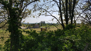 20170424_164439.jpg