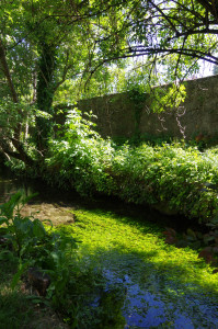 IMGP2081.JPG