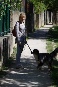 IMGP2082.JPG