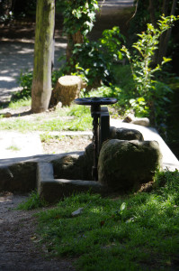 IMGP2083.JPG