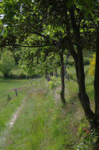 IMGP2132.JPG