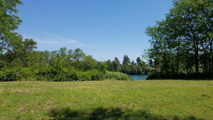 20170528_123600.jpg