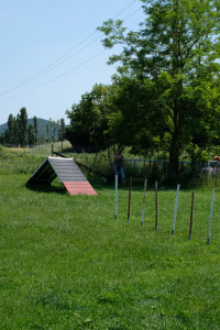 DSCF4091.JPG