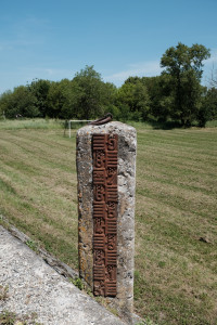 DSCF4103.JPG