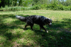 DSCF4108.JPG