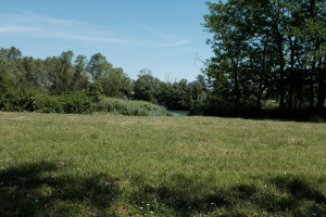 DSCF4114.JPG