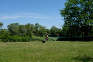 DSCF4117.JPG