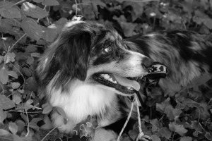 DSCF4138.JPG
