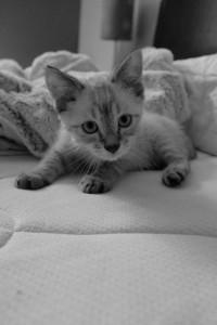 DSCF4450.JPG