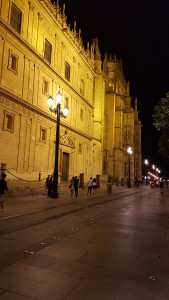20170721_225626.jpg