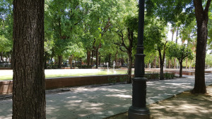 20170722_140415.jpg