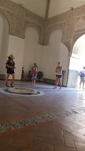 20170723_134605.jpg
