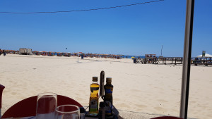 20170724_135158.jpg