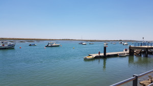 20170724_144900.jpg