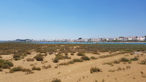 20170724_154100.jpg