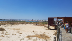 20170724_154342.jpg