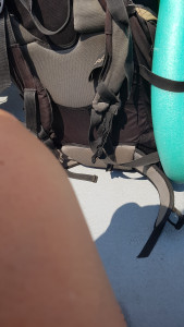 20170725_155025.jpg