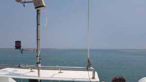 20170725_160705.jpg