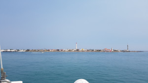20170725_162208.jpg