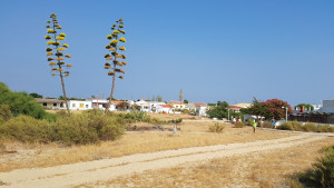 20170725_183512.jpg