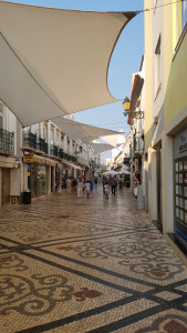 20170725_201218.jpg
