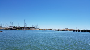 20170728_125213.jpg