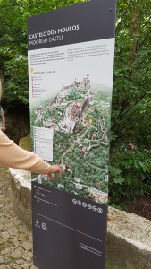 20170730_140257.jpg